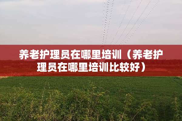 养老护理员在哪里培训（养老护理员在哪里培训比较好）