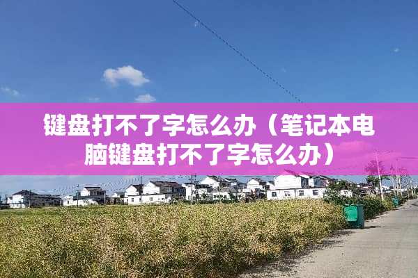 键盘打不了字怎么办（笔记本电脑键盘打不了字怎么办）
