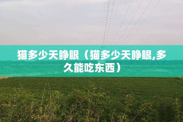 猫多少天睁眼（猫多少天睁眼,多久能吃东西）