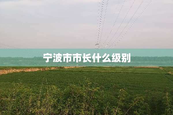 宁波市市长什么级别