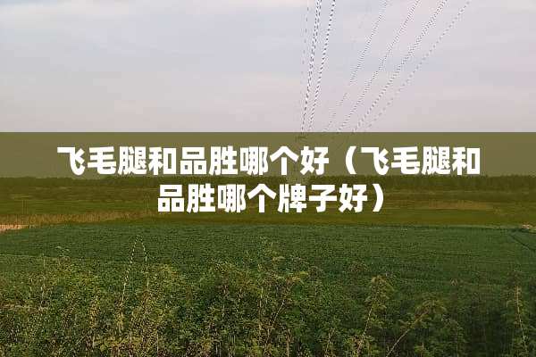 飞毛腿和品胜哪个好（飞毛腿和品胜哪个牌子好）
