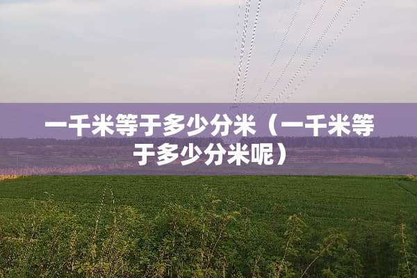 一千米等于多少分米（一千米等于多少分米呢）