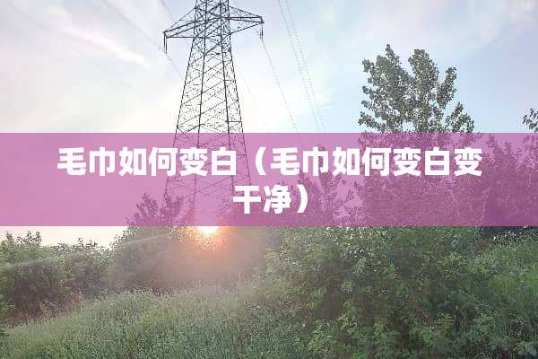 毛巾如何变白（毛巾如何变白变干净）
