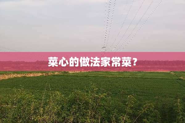 菜心的做法家常菜？