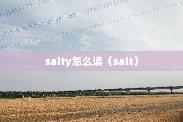 salty怎么读（salt）