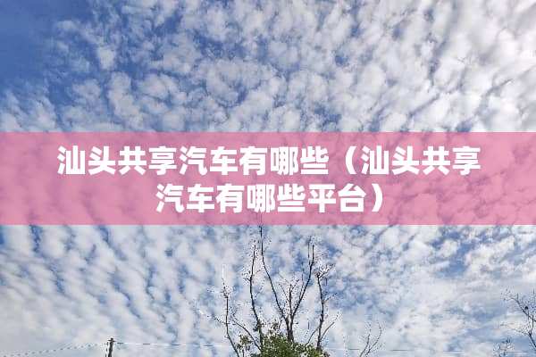 汕头共享汽车有哪些（汕头共享汽车有哪些平台）