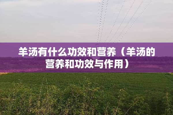 羊汤有什么功效和营养（羊汤的营养和功效与作用）