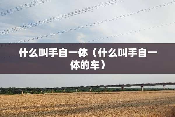什么叫手自一体（什么叫手自一体的车）