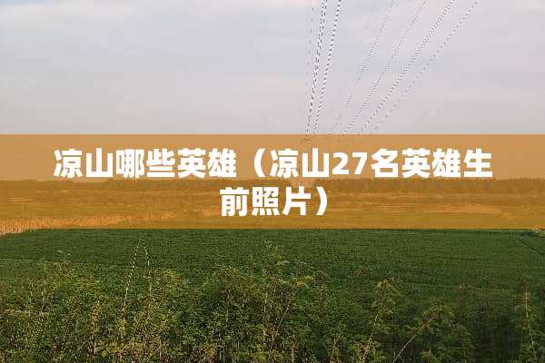 凉山哪些英雄（凉山27名英雄生前照片）