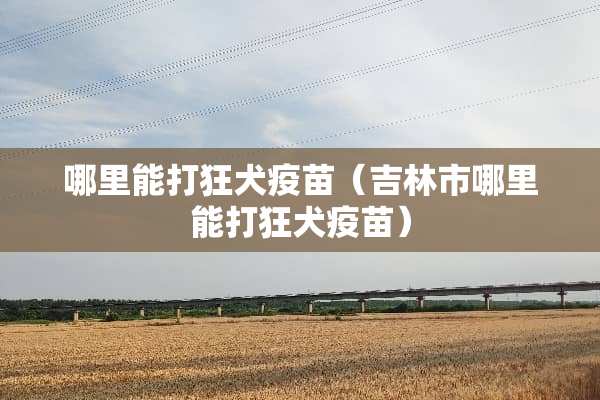 哪里能打狂犬疫苗（吉林市哪里能打狂犬疫苗）