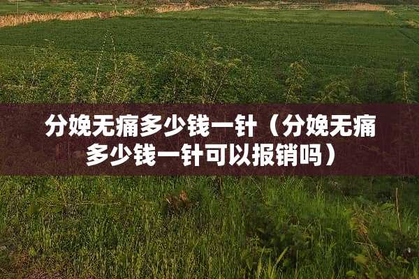 分娩无痛多少钱一针（分娩无痛多少钱一针可以报销吗）