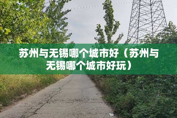 苏州与无锡哪个城市好（苏州与无锡哪个城市好玩）