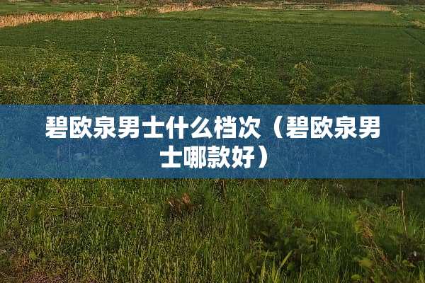 碧欧泉男士什么档次（碧欧泉男士哪款好）