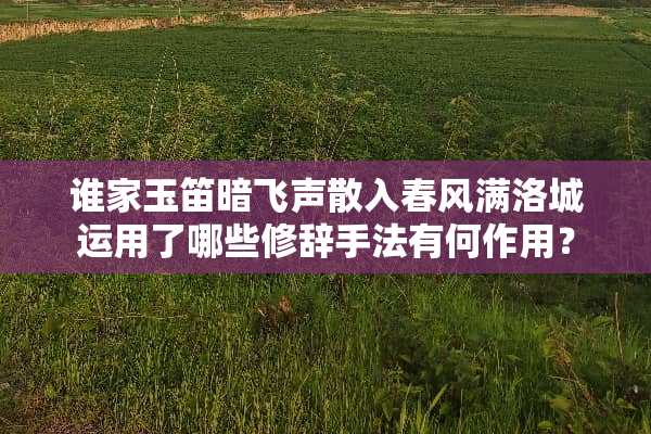 谁家玉笛暗飞声散入春风满洛城运用了哪些修辞手法有何作用？