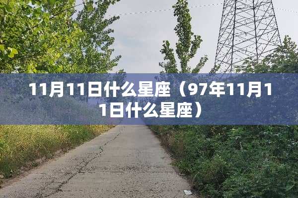 11月11日什么星座（97年11月11日什么星座）