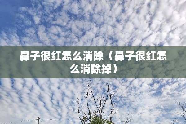 鼻子很红怎么消除（鼻子很红怎么消除掉）