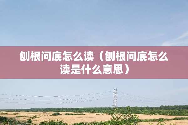刨根问底怎么读（刨根问底怎么读是什么意思）