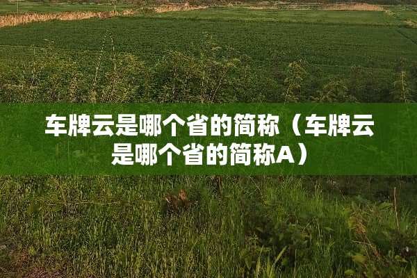 车牌云是哪个省的简称（车牌云是哪个省的简称A）