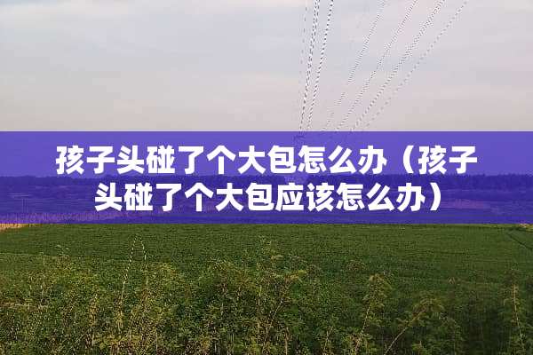 孩子头碰了个大包怎么办（孩子头碰了个大包应该怎么办）