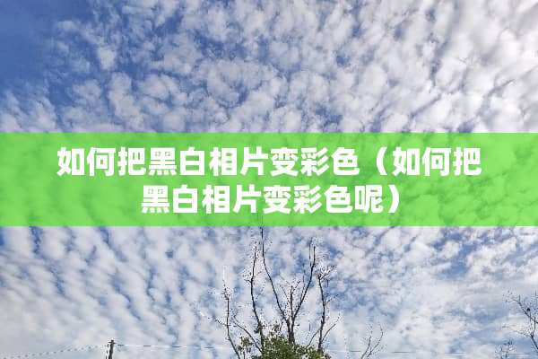 如何把黑白相片变彩色（如何把黑白相片变彩色呢）