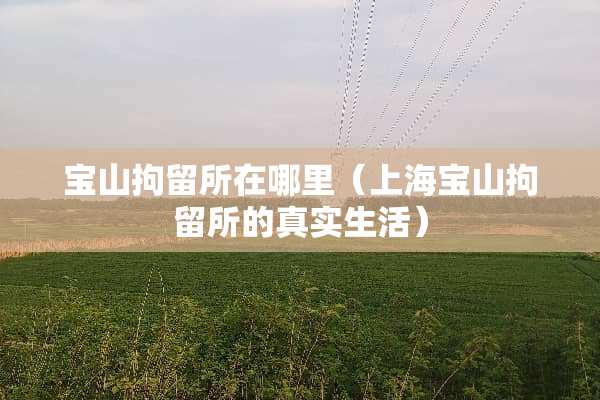 宝山拘留所在哪里（上海宝山拘留所的真实生活）