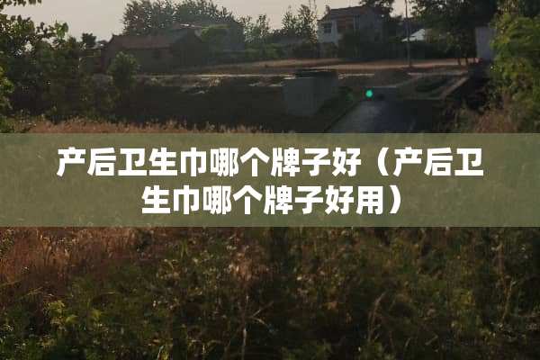产后卫生巾哪个牌子好（产后卫生巾哪个牌子好用）