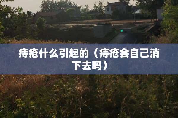 痔疮什么引起的（痔疮会自己消下去吗）
