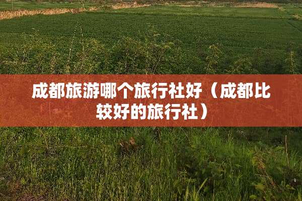 成都旅游哪个旅行社好（成都比较好的旅行社）