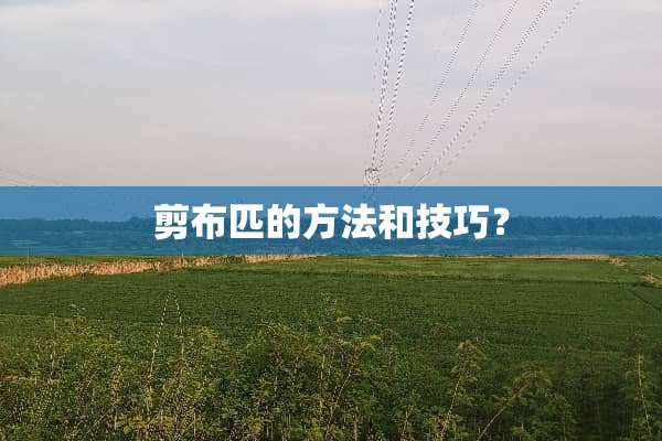 剪布匹的方法和技巧？
