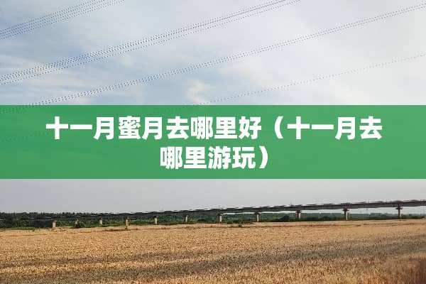 十一月蜜月去哪里好（十一月去哪里游玩）