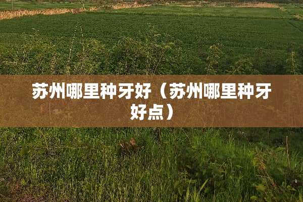 苏州哪里种牙好（苏州哪里种牙好点）