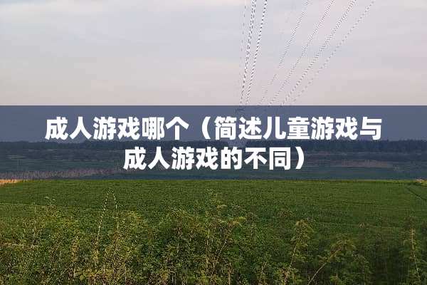 **游戏哪个（简述儿童游戏与**游戏的不同）