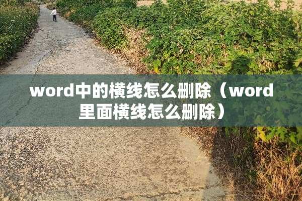 word中的横线怎么删除（word里面横线怎么删除）