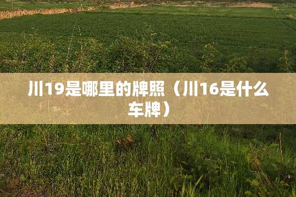 川19是哪里的牌照（川16是什么车牌）
