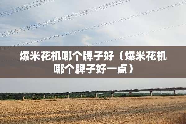 爆米花机哪个牌子好（爆米花机哪个牌子好一点）
