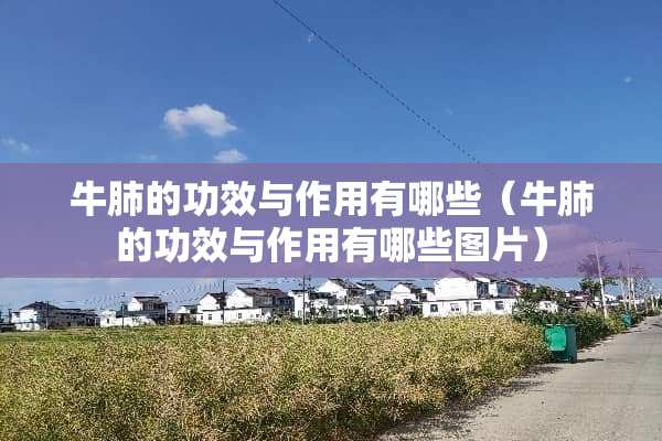 牛肺的功效与作用有哪些（牛肺的功效与作用有哪些图片）