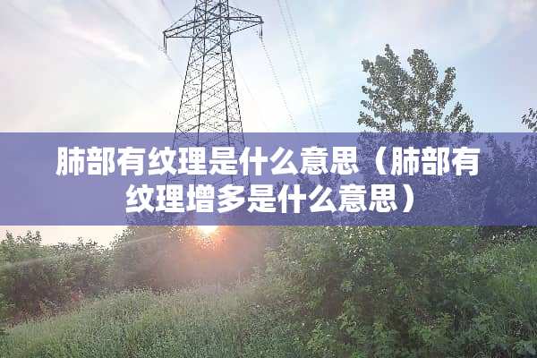 肺部有纹理是什么意思（肺部有纹理增多是什么意思）