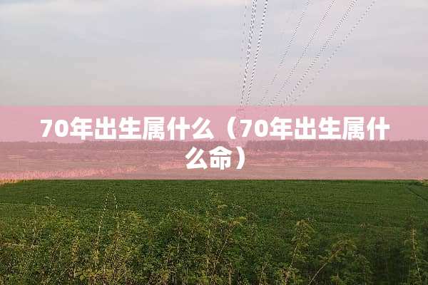 70年出生属什么（70年出生属什么命）