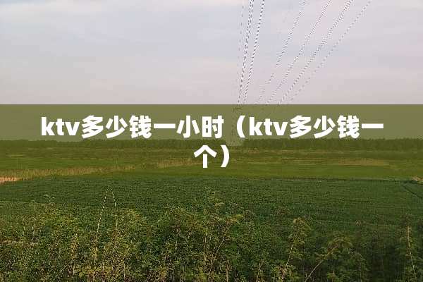 ktv多少钱一小时（ktv多少钱一个）