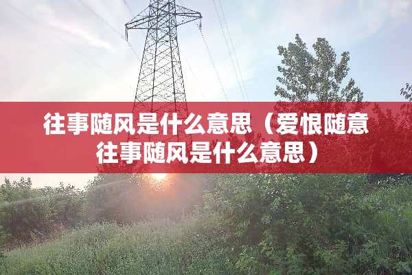 往事随风是什么意思（爱恨随意往事随风是什么意思）