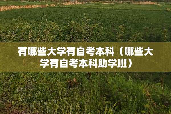 有哪些大学有自考本科（哪些大学有自考本科助学班）