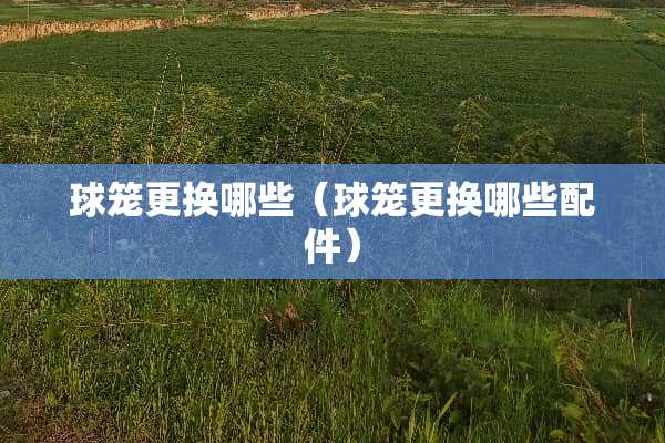 球笼更换哪些（球笼更换哪些配件）