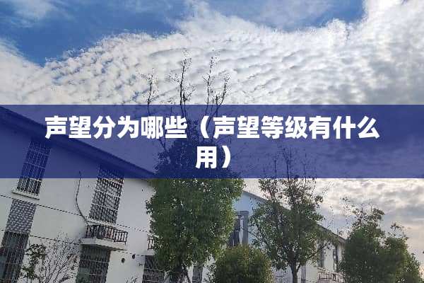 声望分为哪些（声望等级有什么用）