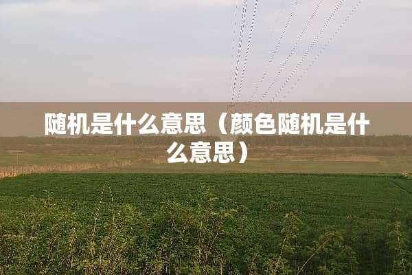 随机是什么意思（颜色随机是什么意思）