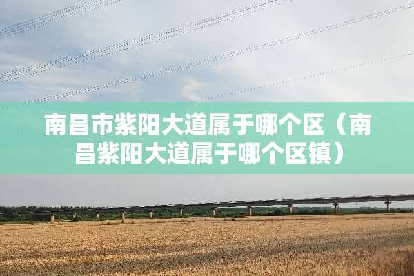 南昌市**大道属于哪个区（南昌**大道属于哪个区镇）