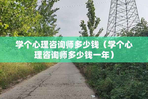 学个心理咨询师多少钱（学个心理咨询师多少钱一年）