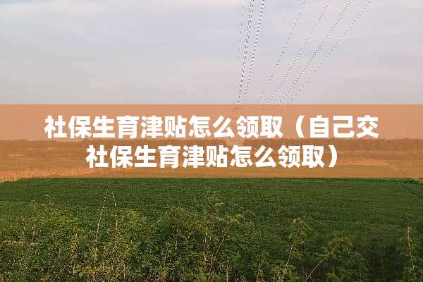 社保生育津贴怎么领取（自己交社保生育津贴怎么领取）