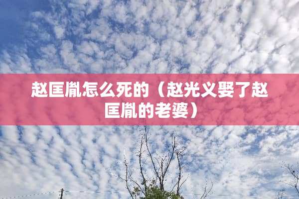 赵匡胤怎么死的（赵光义娶了赵匡胤的老婆）