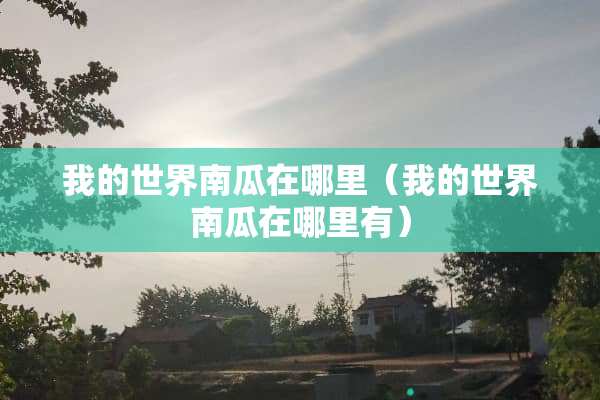 我的世界南瓜在哪里（我的世界南瓜在哪里有）