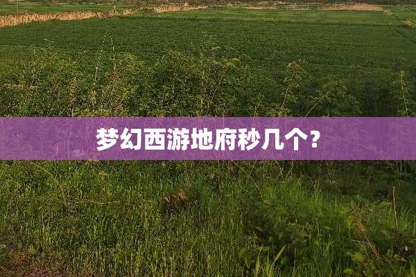 梦幻西游地府秒几个？